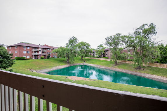 Panoramic view of trees and a pond with residential buildings in the background.