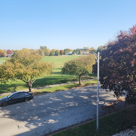 Wide angle view of a park with trees and a road.