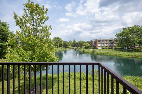 Panoramic view from a balcony overlooking a pond and buildings.