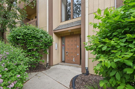 Front view of a house entrance with a brown door and vertical siding, surrounded by greenery.