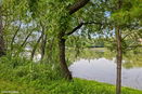 ilmred/33eaf9fa950f448ee31bbe7655521c75.jpg?width=131&height=105&format3=webp