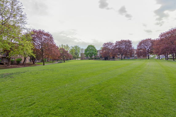 View of buildings surrounded by trees and grassy area.