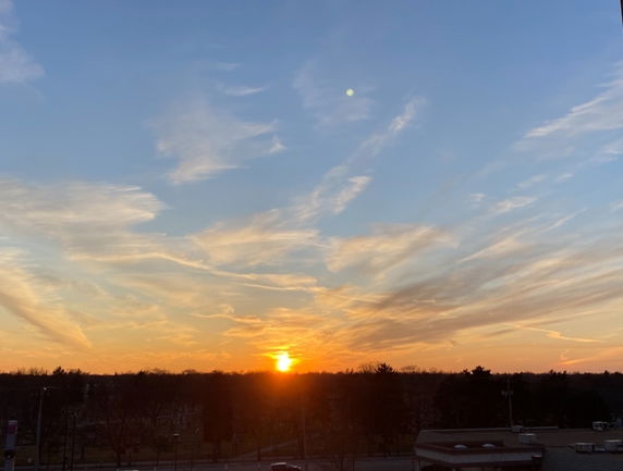 Wide-angle view of a sunset with a clear sky and distant trees.