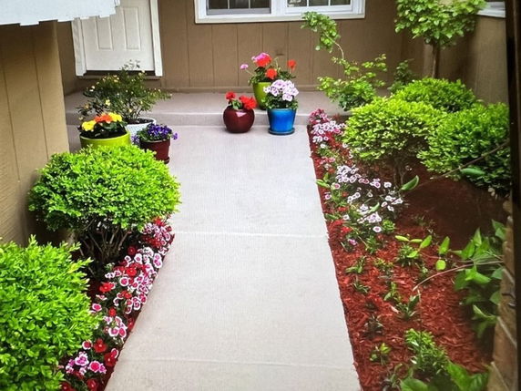 Front view of a house entrance with potted plants and small bushes.