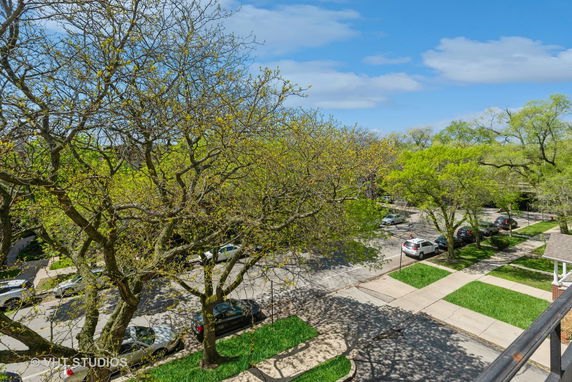 Panoramic view of a tree-lined street with parked cars.