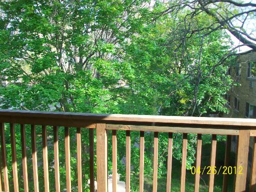 View from a balcony railing showing lush green trees.