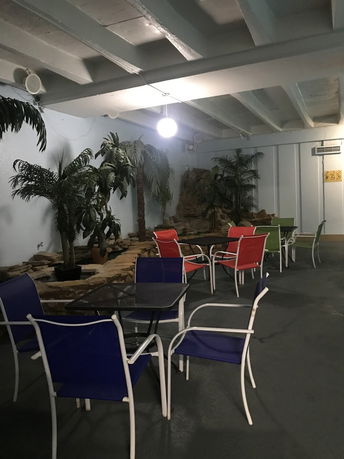 Indoor area with colorful chairs and tables, palm plants, and a decorative stone arrangement.