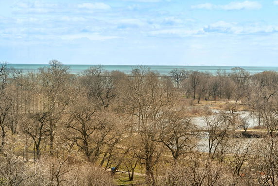 View of trees and a body of water in the distance.
