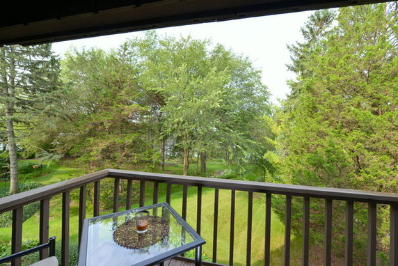 View from a balcony overlooking lush green trees and lawns.