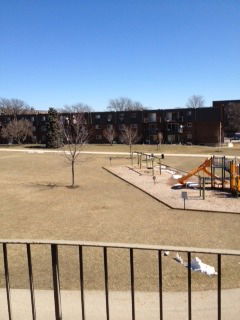 A playground area with slides and other equipment situated in a grassy open space with a low-rise building in the background.