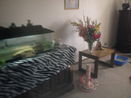 ilmred/4d9fdc58af2c420d2ff2ce050b7dad1e.jpg?width=131&height=105&format3=webp