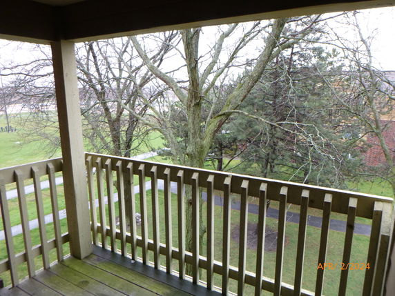 Balcony view overlooking trees and a green landscape.