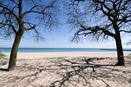 ilmred/4fc8497010dfff5d6735d5ceba947b4b.jpg?width=131&height=105&format3=webp