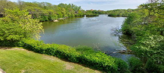 Panoramic view of a lake surrounded by trees and greenery.