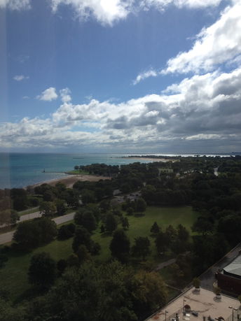 Panoramic view of a coastline with a park and trees.