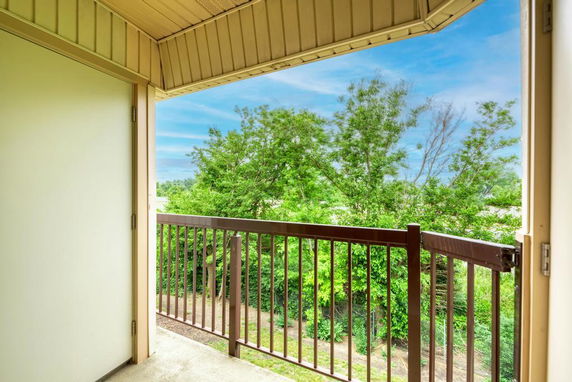 View from a balcony overlooking trees and greenery.