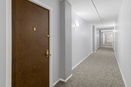 ilmred/5218cfa7a7b3c9a8453a9b01acc0a3c2.jpg?width=131&height=105&format3=webp