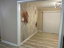 ilmred/540eb58fd622802b28edfc1250dade20.jpg?width=131&height=105&format3=webp