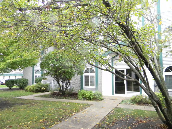Front view of a building with large windows and shrubs in front.