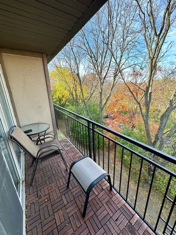 View from a balcony overlooking trees with autumn foliage.