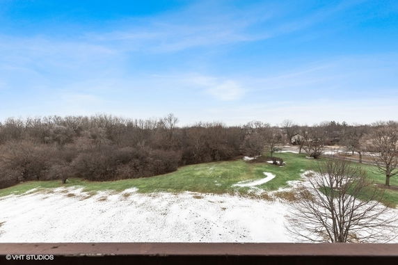 View of a snowy and grassy landscape with trees and partially snow-covered ground.