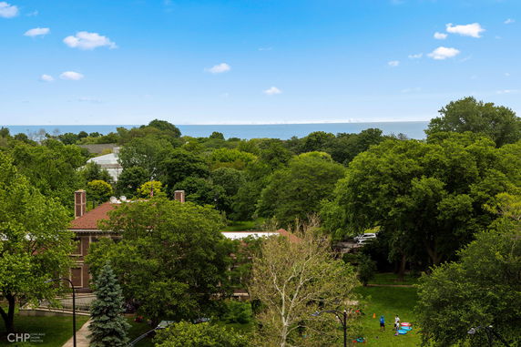 Panoramic view of trees and a distant body of water under a clear blue sky.