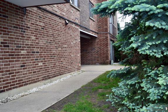 Side view of a brick building with a walkway and trees.