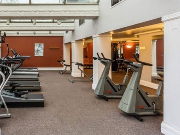 Interior view of a gym with exercise machines and skylight ceiling.