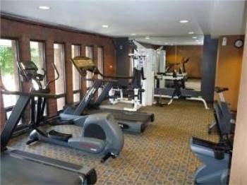 Interior view of a gym with various exercise equipment.