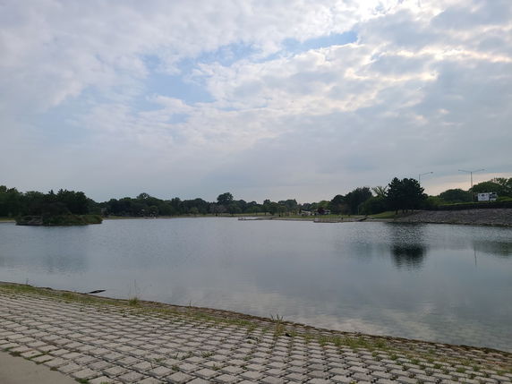 Wide view of a lake with trees and clouds in the background.