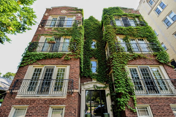 Front view of a brick apartment building with ivy-covered walls and decorative balconies.