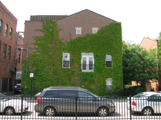 Front view of a two-story brick building with ivy covering part of the facade.
