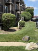 ilmred/5e9eab3051bd872c09a315ce97aaf703.jpg?width=131&height=105&format3=webp