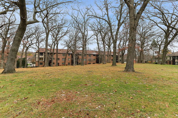 View of a multi-story brick building through a landscape of bare trees and grassy area.