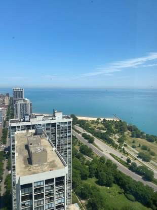 Panoramic view from a tall building overlooking a large body of water and surrounding greenery.