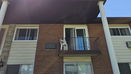 ilmred/65775db61bd13822434a4c90344aea68.jpg?width=131&height=105&format3=webp