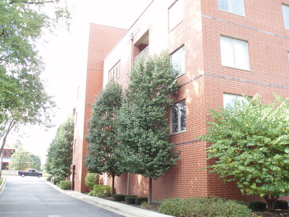 Building Images