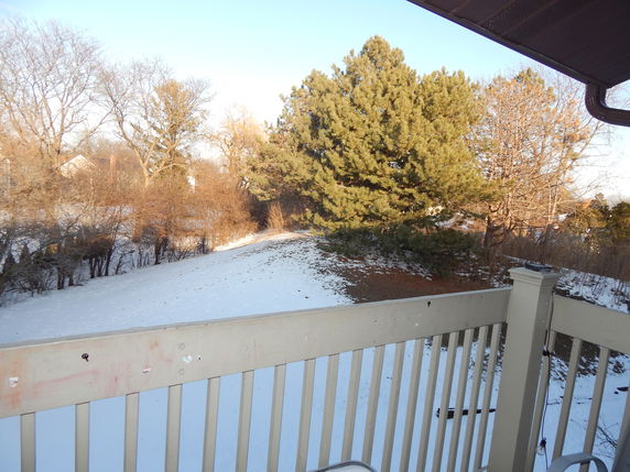 View from a building balcony showing snowy ground and evergreen trees in the distance.