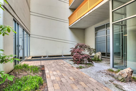 View of a modern building's exterior with glass windows and landscaped area with plants and rocks.