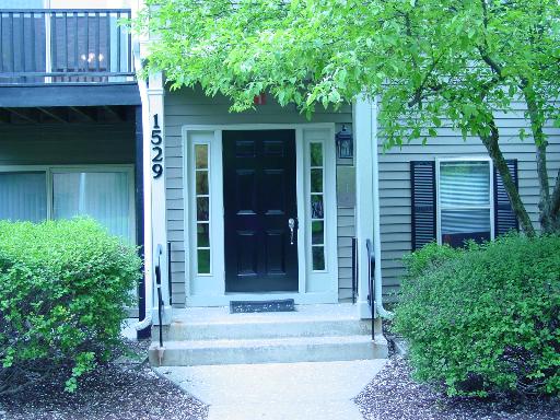 Front view of a house entrance with a black door and sidelight windows.