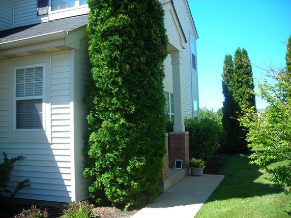 Front view of a two-story house with beige siding and small porch.