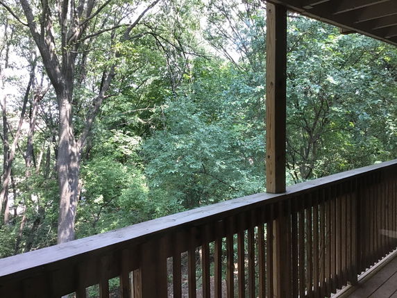Wooden balcony view overlooking dense trees.