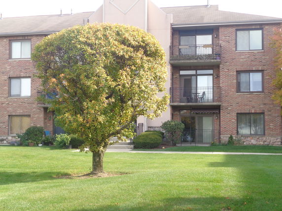 Building image