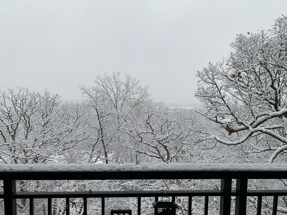 Wide angle view of snow-covered trees and landscape from a balcony.