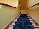 ilmred/6f1073224e5b1c80015d581da53b8bf7.jpg?width=131&height=105&format3=webp