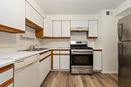 ilmred/70863acec0ee2a23ef30e0d0a612dc57.jpg?width=131&height=105&format3=webp
