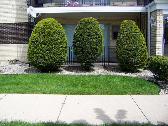 Front view of a building with brick exterior and neatly trimmed shrubs.