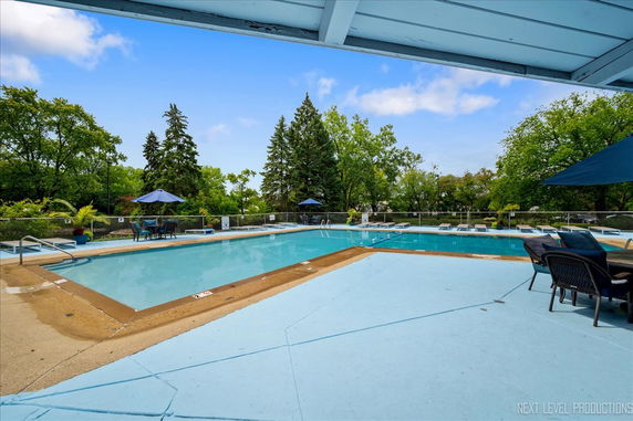 Outdoor swimming pool with lounge chairs and umbrellas, surrounded by greenery.