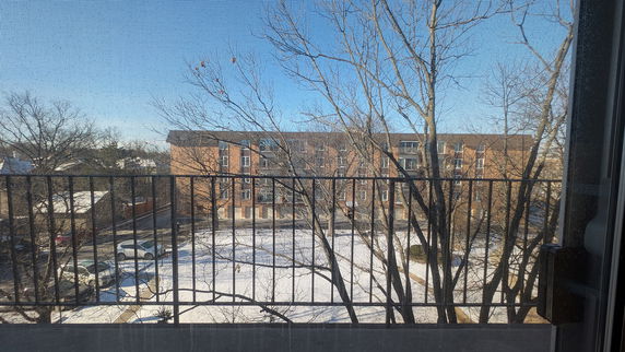 View of a building and winter surroundings through a mesh screen.