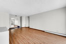 ilmred/75bc8938aab17897a5eae7c319c60c48.jpg?width=131&height=105&format3=webp